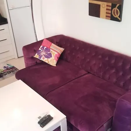 Apartment Modern And Cozy 1 Bedroom Apartment