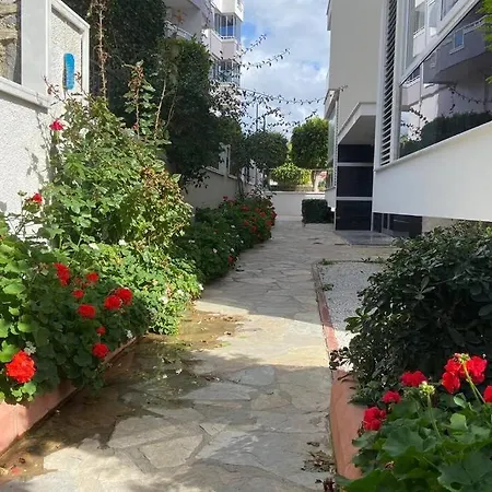 Modern&Cozy 1 Bedroom Apartment *